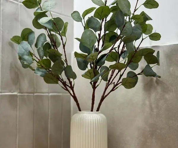 דירה Sea La Vie Năvodari