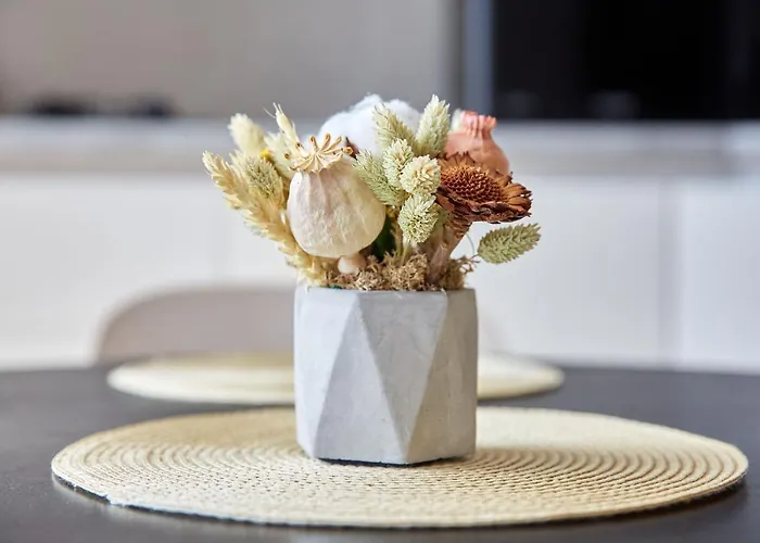 Sea La Vie Năvodari