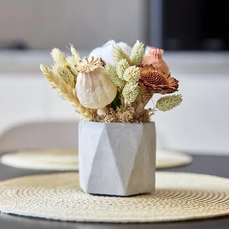 Sea La Vie Năvodari